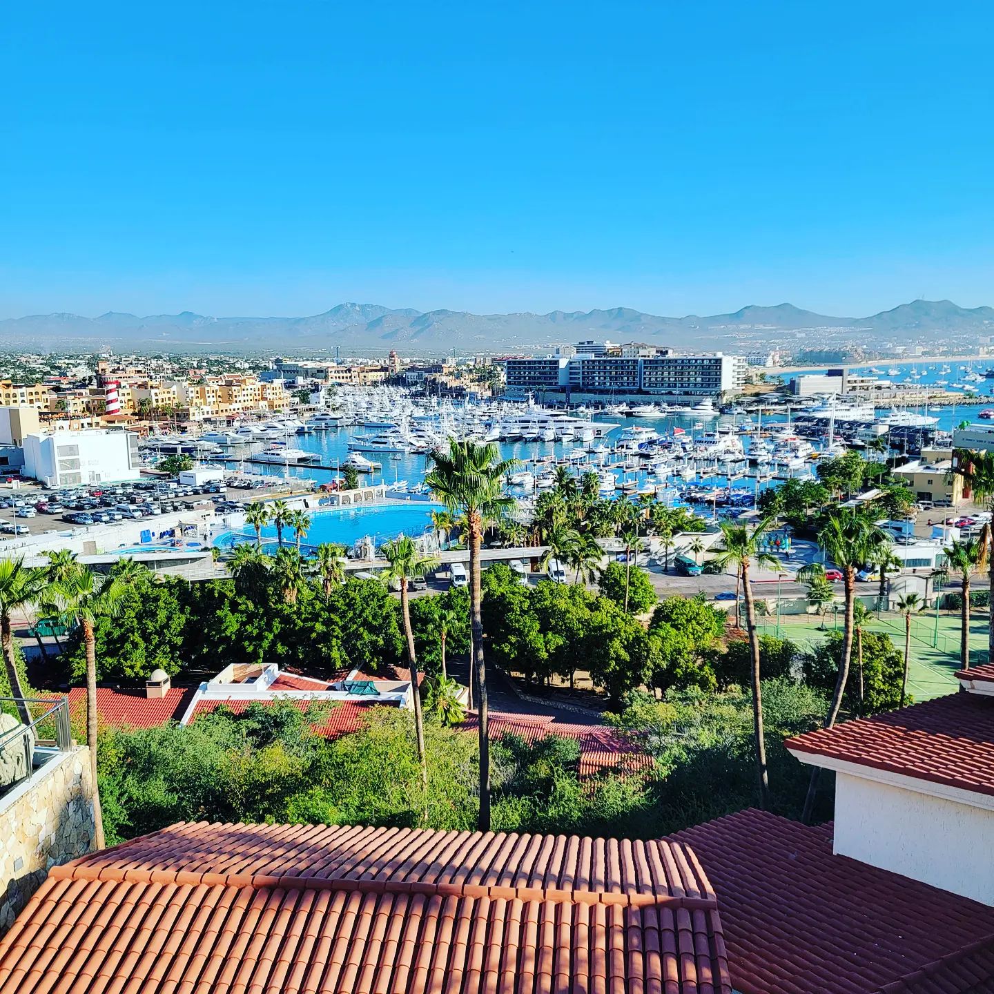 LOS CABOS🌴🇲🇽 
So beautiful! It's been a hot minute since I've connected with you beautiful people. This week I am in Los cabos Mexico, and I'll be sharing my experiences with you✌.

Look for posts, videos, lives and stories. Any questions pop them below👇