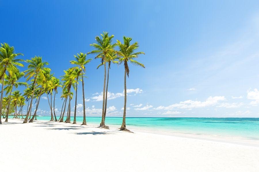 Photo of the white sand in Punta Cana and palm trees with the turquoise water in the background.